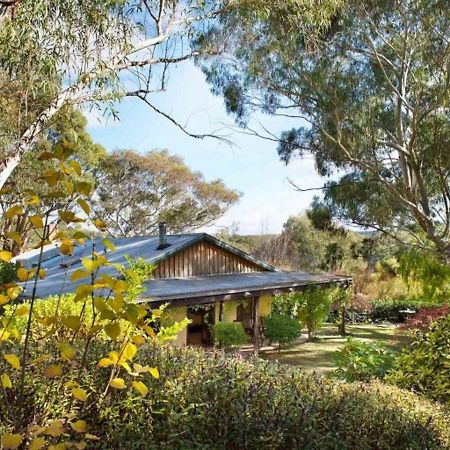 Italian Hill Garden Villa Daylesford Dış mekan fotoğraf